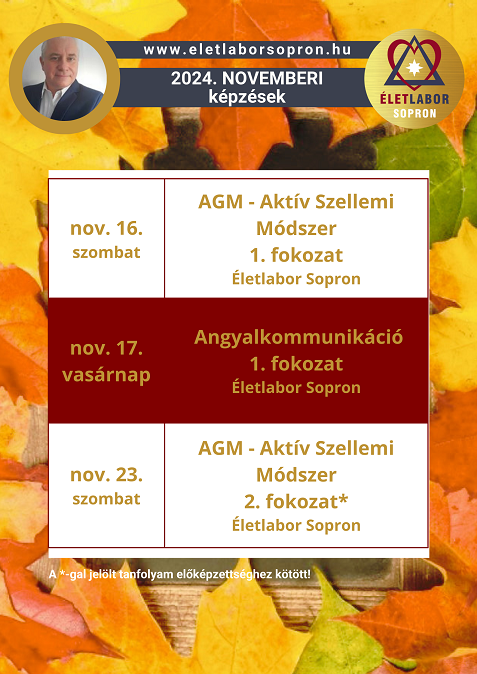 novemberi program