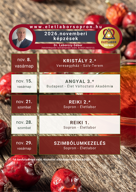 202. novemberi program